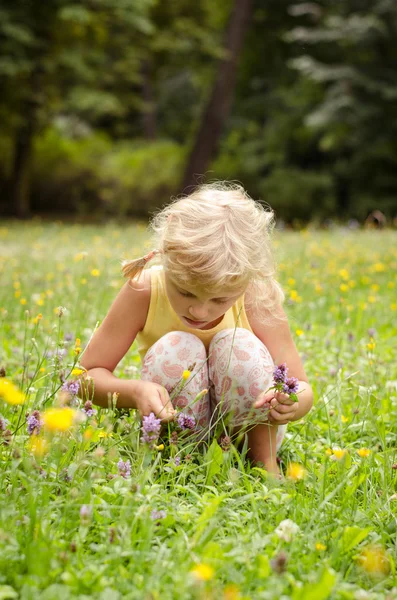 Chica rubia en la hierba — Foto de Stock