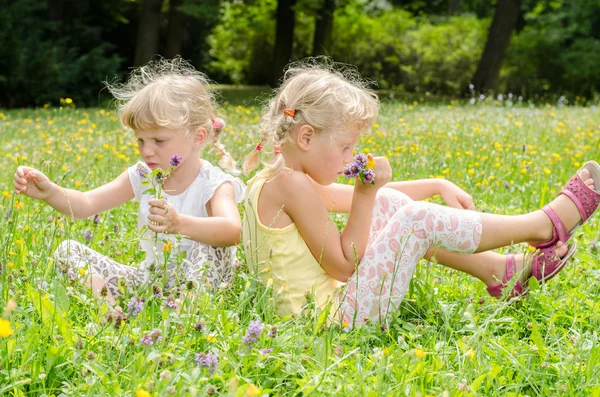 Chicas rubias en el prado — Foto de Stock