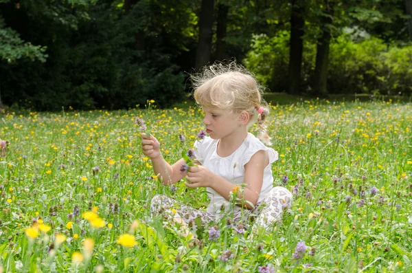 Gadis pirang di rumput — Stok Foto