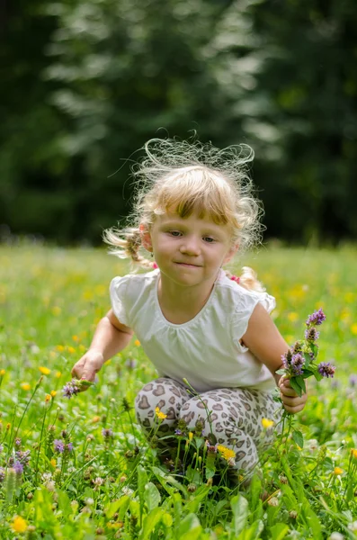 Blondes Mädchen auf Gras — Stockfoto