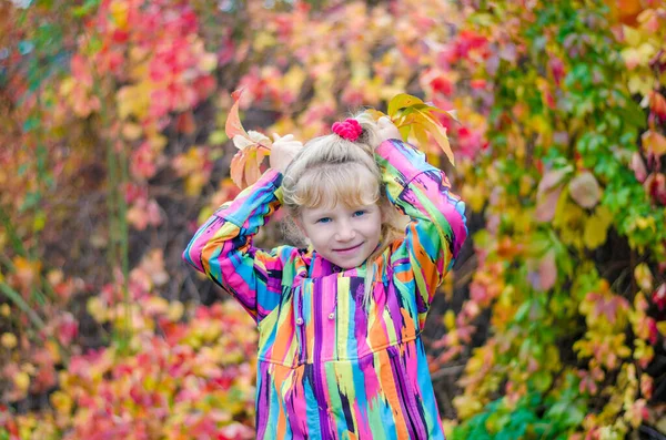 Adorable Blond Girl Colorful Jacket Enjoying Color Autumnal Leaves — Photo