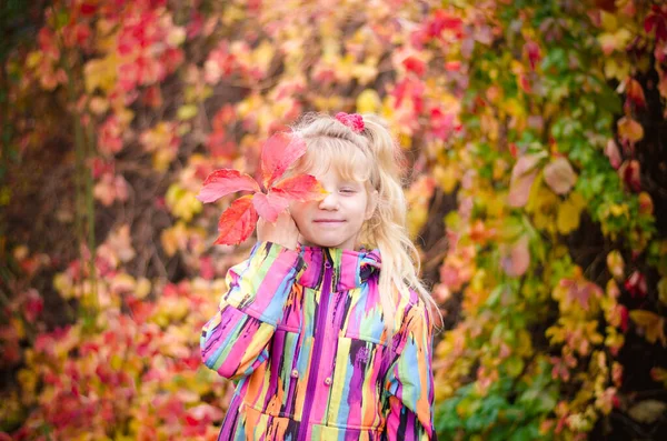 Adorable Blond Girl Colorful Jacket Enjoying Color Autumnal Leaves — Stock fotografie