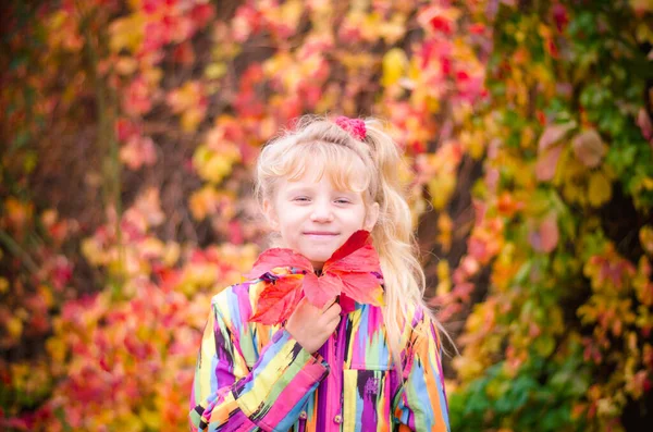 Очаровательная Блондинка Красочной Куртке Наслаждающаяся Цветом Осенних Листьев — стоковое фото