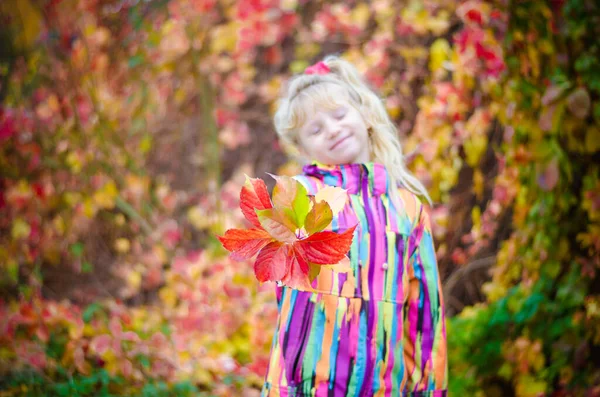 Adorable Blond Girl Colorful Jacket Enjoying Color Autumnal Leaves — Foto de Stock