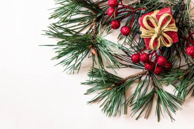 Kırmızı Noel hediye kutusunda kırmızı çoban püskülü ve yeşil çam ağacı süslemesi beyaz arka planda