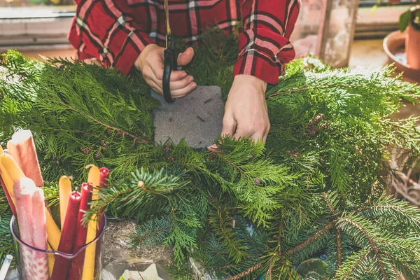 Grüne Kiefer Nadelbaum Pflanze Bunte Kerzen Und Schmuck Für Weihnachten — Stockfoto