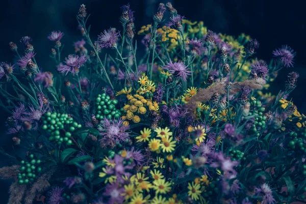 Küçük Sarı Pembe Çiçek Arkaplanı — Stok fotoğraf