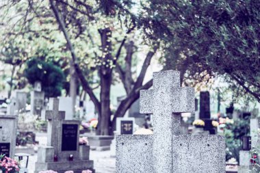 Mezarda yanan mum ve kasımpatı çiçeği dekoru.