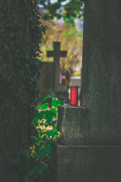 Bougie Allumée Décoration Florale Sur Tombe Dans Cimetière — Photo