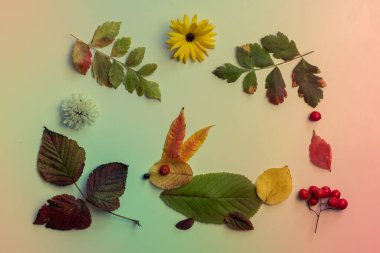 Renkli yapraklardan yapılmış tavşan ve beyaz arka planda parlak çiçekler.