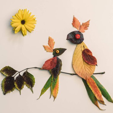 Renkli yapraklardan yapılmış kuşlar ve beyaz arkaplanda parlak çiçekler.