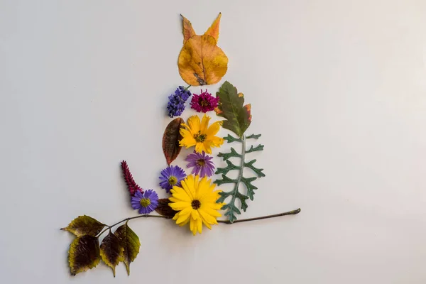 Catmade Aus Bunten Blättern Und Hellen Blüten Auf Weißem Hintergrund — Stockfoto