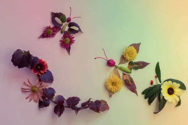 Papillons Fabriqués Partir Feuilles Colorées Fleurs Lumineuses Sur Fond Blanc — Photo