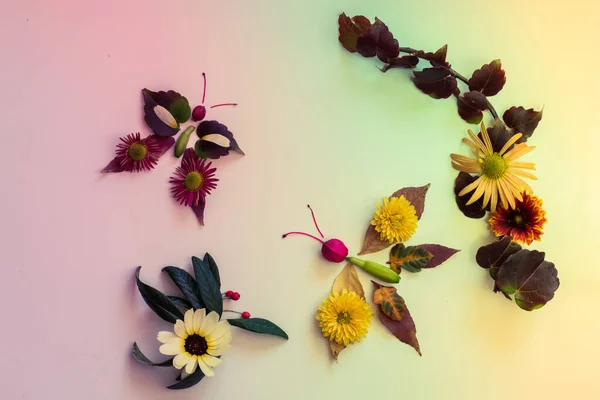 Mariposas Hechas Hojas Coloridas Flores Brillantes Sobre Fondo Blanco —  Fotos de Stock