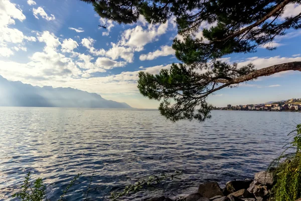 蒙特勒日内瓦湖 — 图库照片