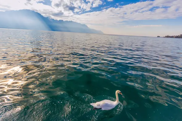 Lago Lemán, Montreux —  Fotos de Stock