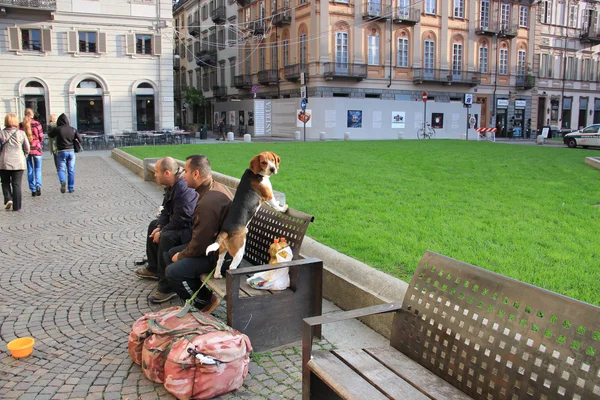 Turin — Stock Photo, Image