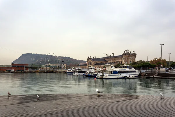 Desember, Barcelona, Lluvia — Foto de Stock