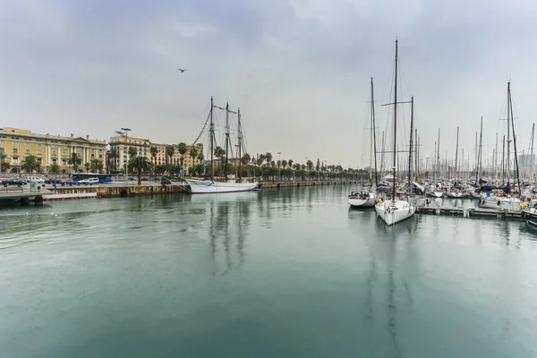 December, Barcelona, Regn - Stock-foto