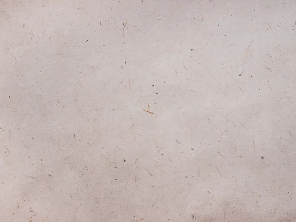 pirinç kağıdı yapısının fotoğraf