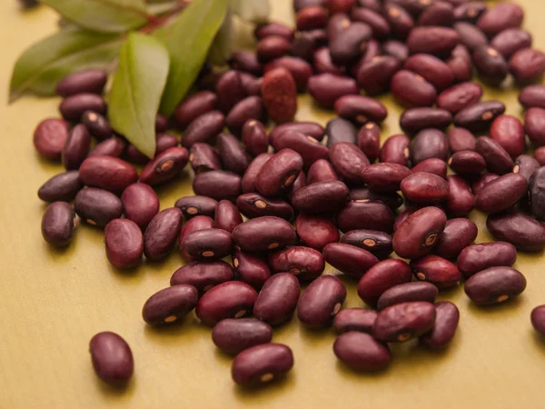 Kidney beans and a leaf on green background — Stock Photo, Image