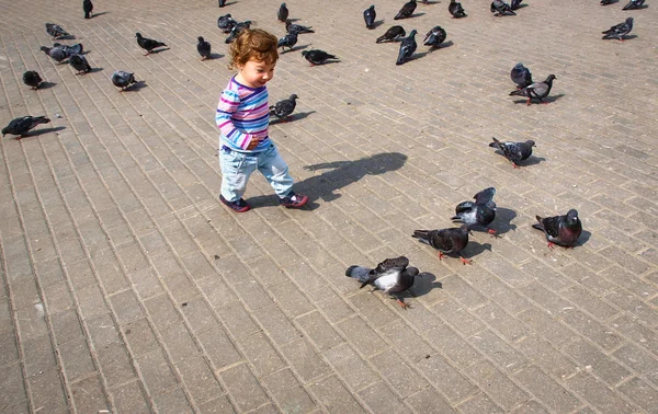 gülen çocuk amoung güvercinler çalışan