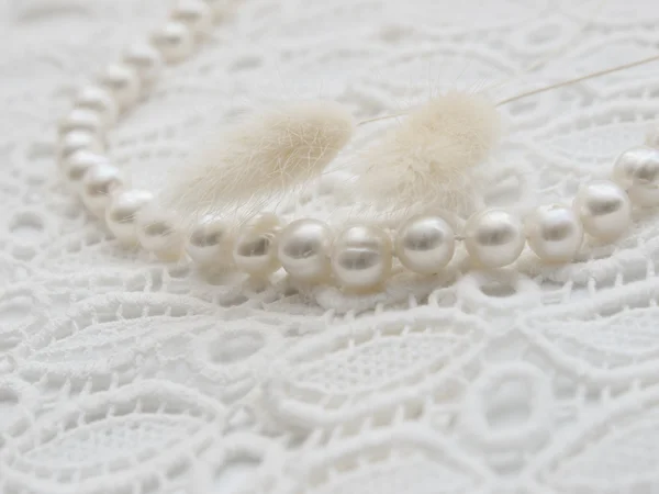 White pearl necklace and lagurus on white lace — Stock Photo, Image