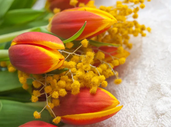 Czerwone tulipany i mimozy — Zdjęcie stockowe