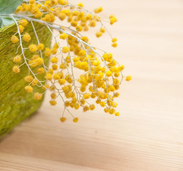 Mimoza yeşil hasır kutusunda closeup