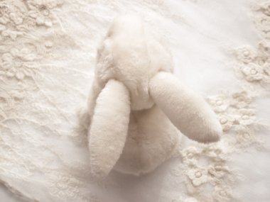 beyaz tavşan vintage danteller üzerinde