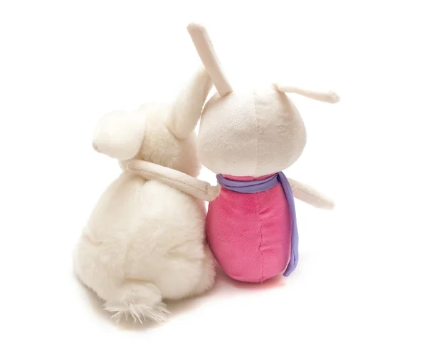 iki kucaklayan oyuncak tavşanlar