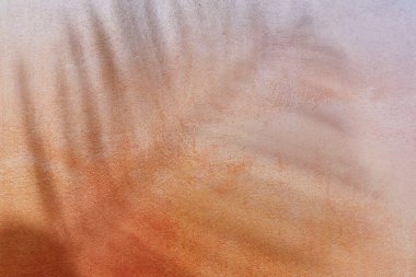 Pembe, sarı ve kırmızı yaz arka planında palmiye yaprağı gölgesi ve kopyalama alanı var. Duvar kağıdı dokusu, yağlı boya taklidi..