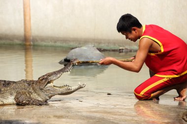 eğitmen günlüğü bir timsahın çene koy.