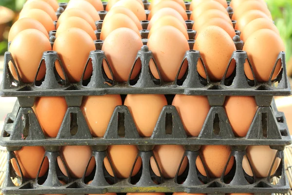 Plastic Tray with fresh eggs — Stock Photo, Image