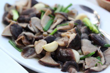 istiridye soslu kızarmış mantar karıştırın