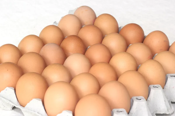Pakkauksessa olevat munat — kuvapankkivalokuva