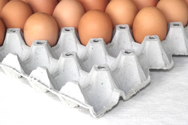 Eggs in the package — Stock Photo, Image