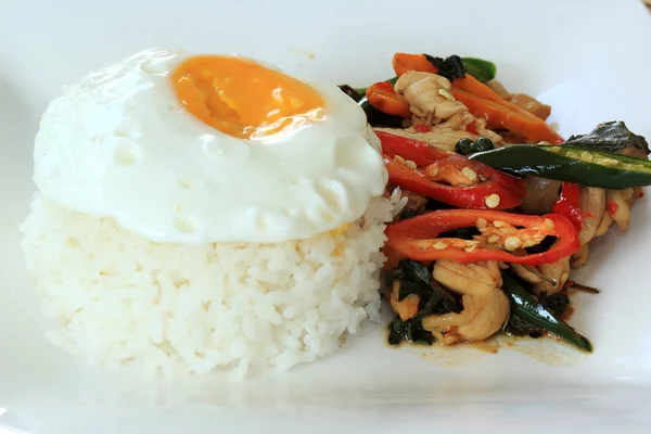 Gebakken basil kip met gebakken ei en rijst — Stockfoto
