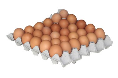 yumurta kağıt tepsisi