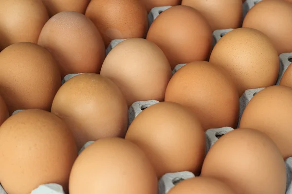 Eggs in the package — Stock Photo, Image