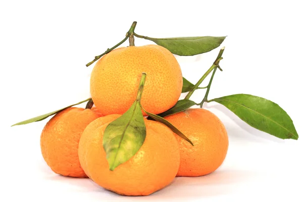 Group of orange anf leaves — Stock Photo, Image