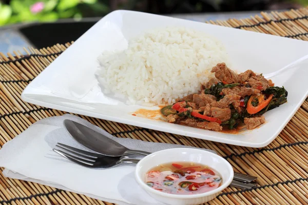 Panang Boeuf et riz à vapeur — Photo