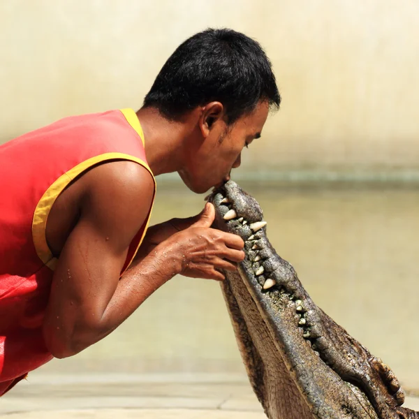 Show de crocodilos treinador beijar o mouse de um crocodilo — Fotografia de Stock