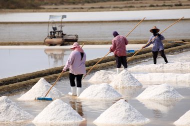 Workers in salt pans, Thailand. clipart