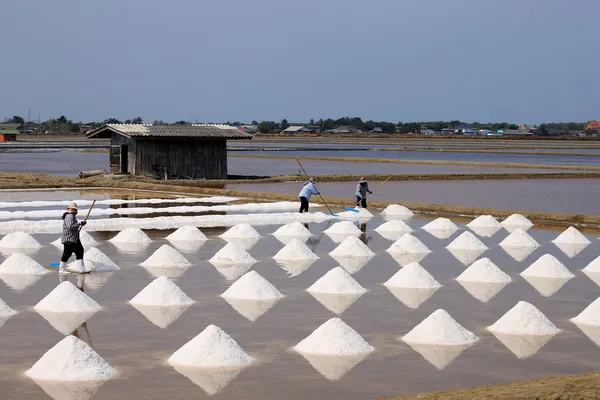 De landbouwer werken — Stockfoto