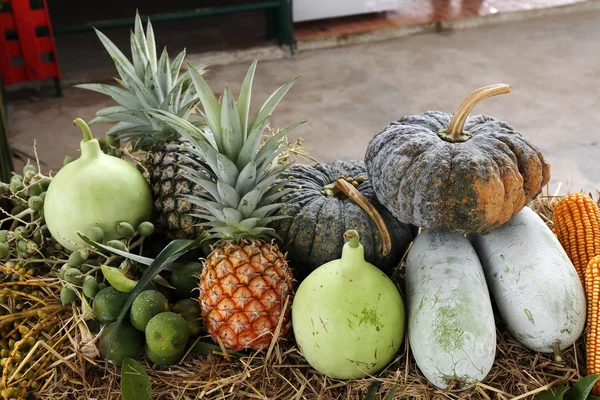 Tropical Fruit — Stock Photo, Image