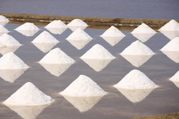 Sea salt in a pan — Stock Photo, Image