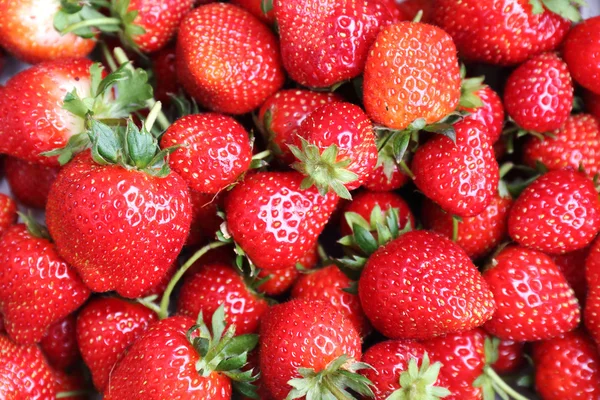 In einer Kiste mit Erdbeeren — Stockfoto