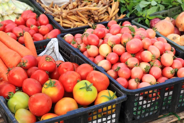 Fresh ripe tomatoes for sale — Stock Photo, Image