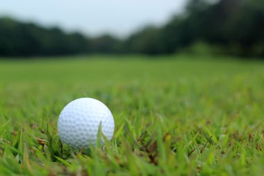 Golf topu